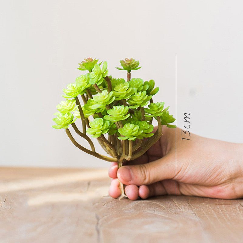 Simulation Plant Small Bonsai